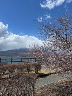 image1.jpeg