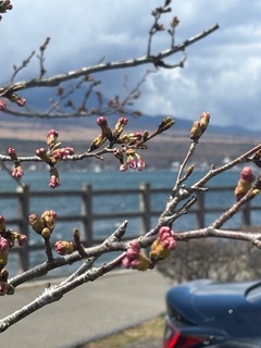image5.jpeg